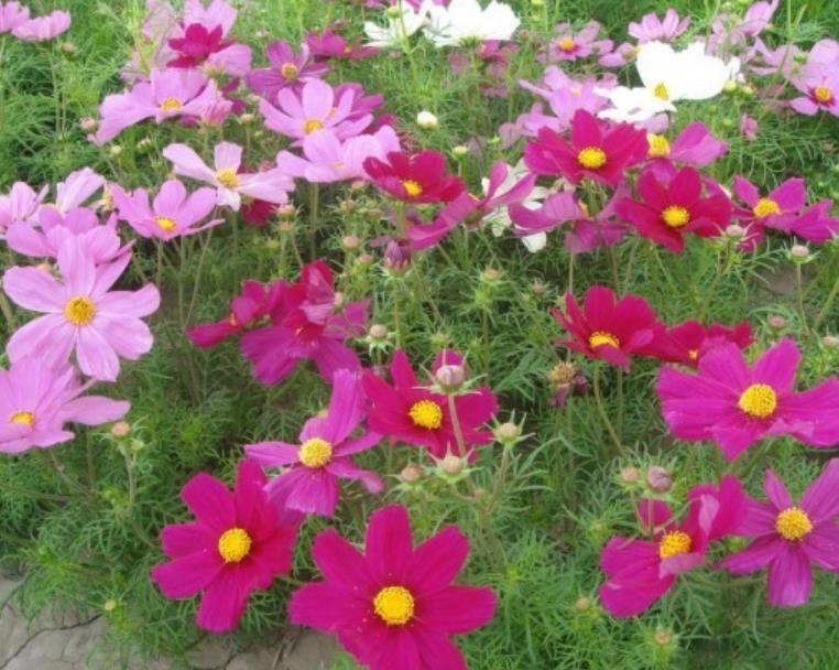 格?；?/></p><p style=