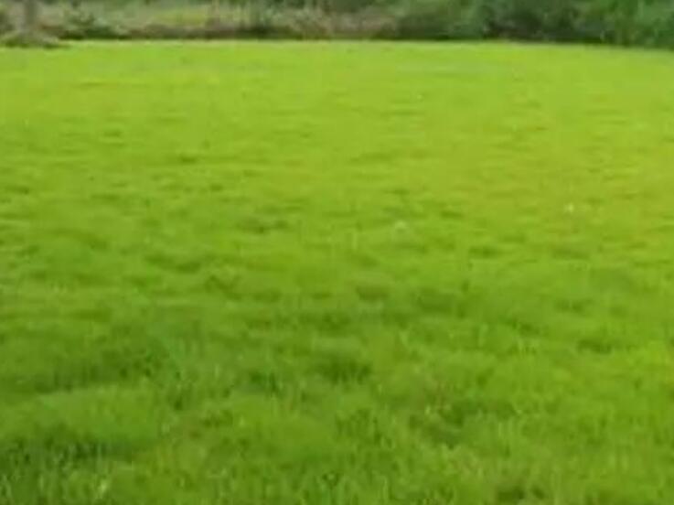 1659794417756579.jpg 3.jpg