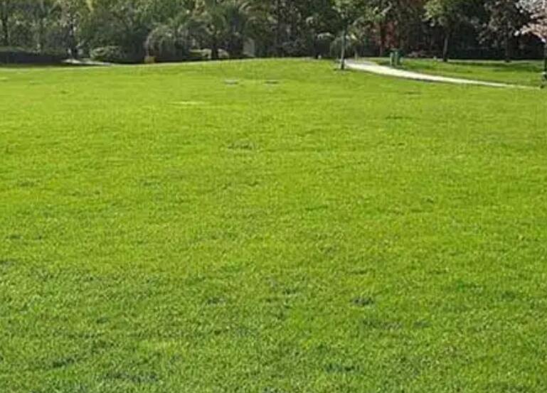 1659794782617485.jpg 1.jpg