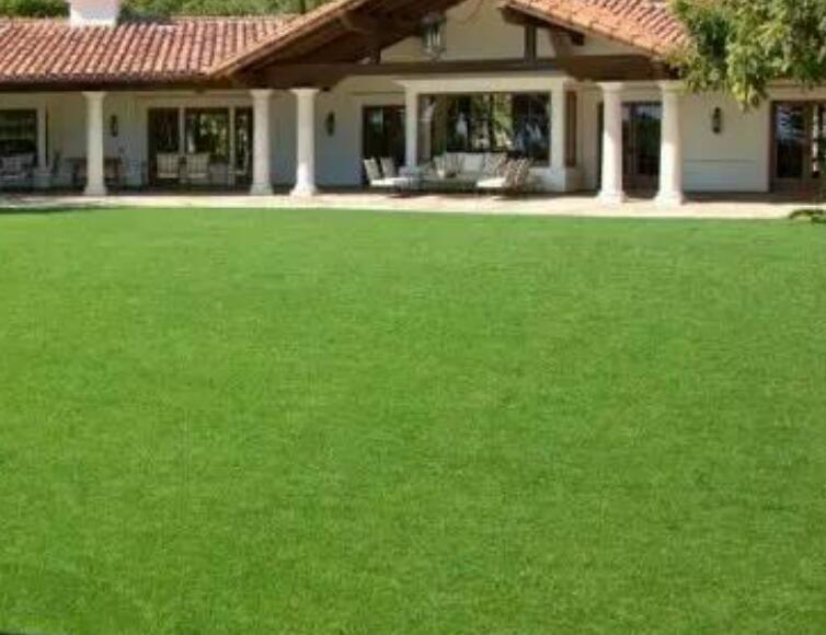 1659794840895502.jpg 2.jpg