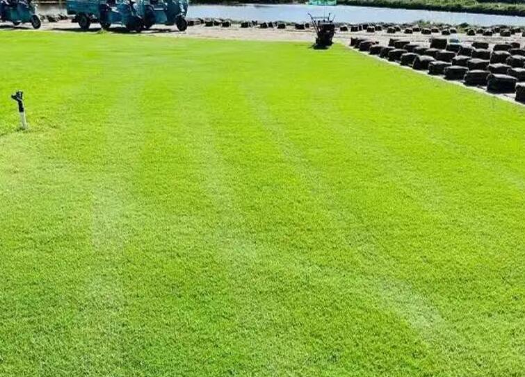 1659794898490810.jpg 3.jpg