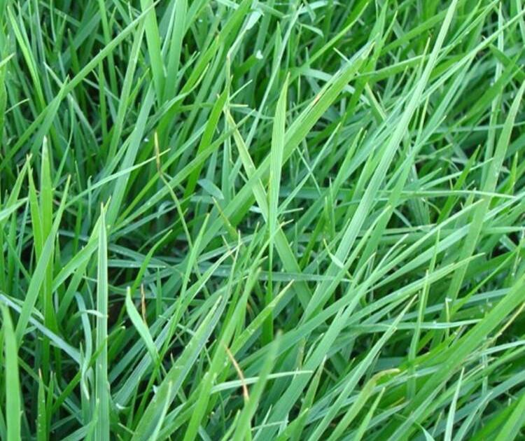 1659796486983639.jpg 1659796486983639.jpg