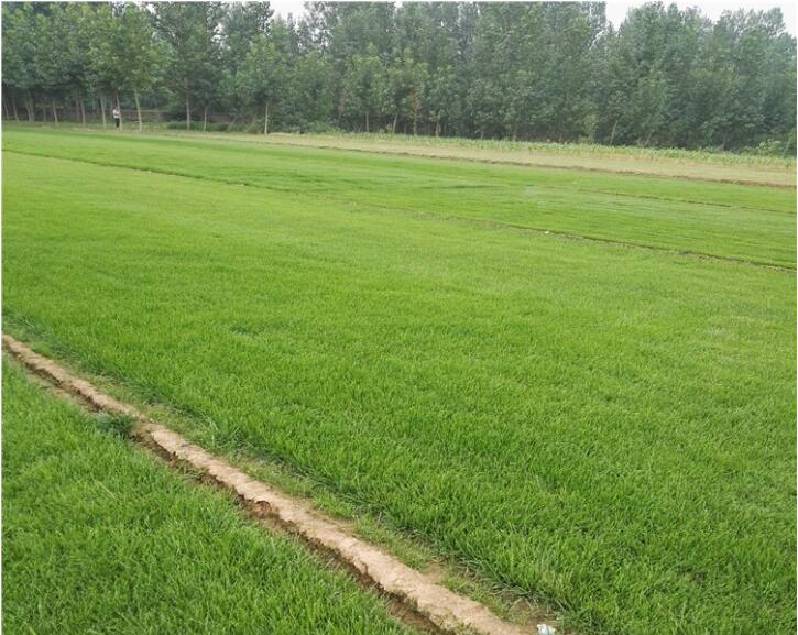 1659797042572888.jpg 1659797042572888.jpg