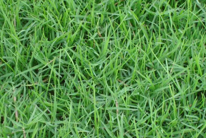 1659933717643226.jpg 1.jpg