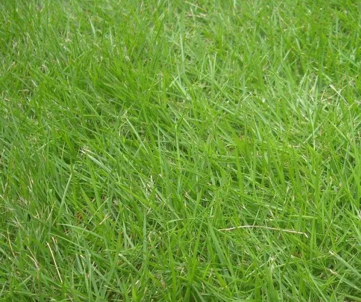 1659933724296945.jpg 2.jpg