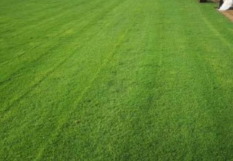 1659933732994525.jpg 3.jpg