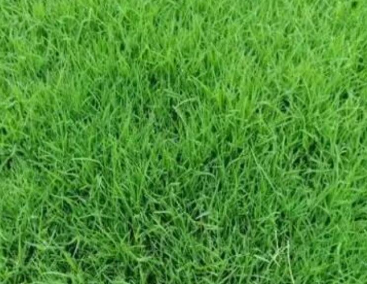 1660052092352411.jpg 1.jpg