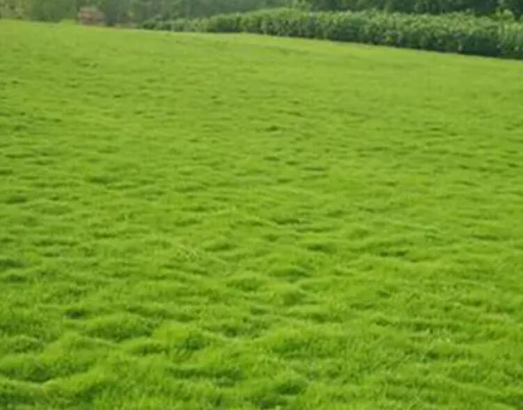 1660052100330627.jpg 2.jpg