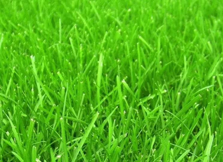 1660052665701021.jpg 1.jpg