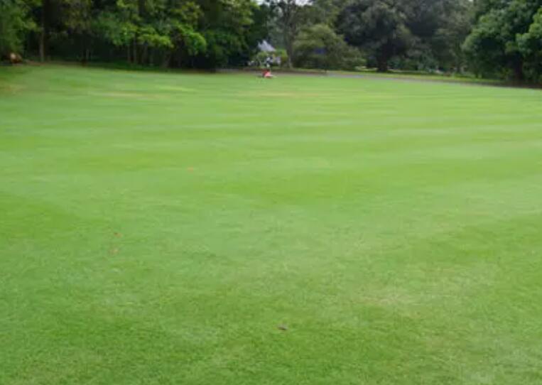 1660052672242823.jpg 2.jpg