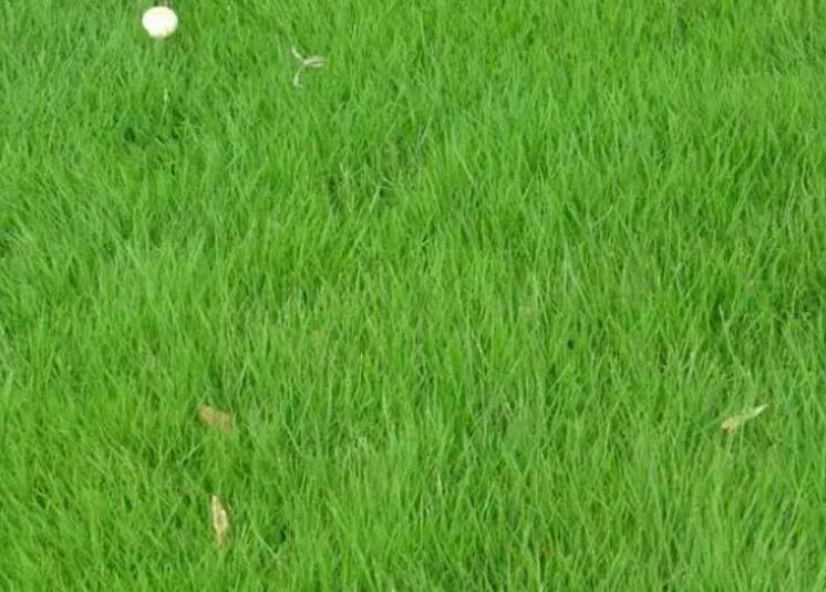 1660053484800769.jpg 3.jpg