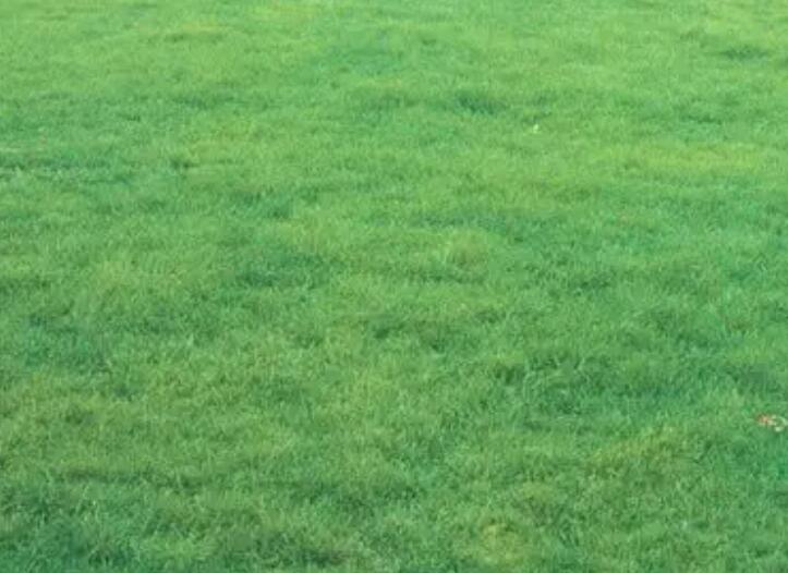 1660054213590585.jpg 2.jpg