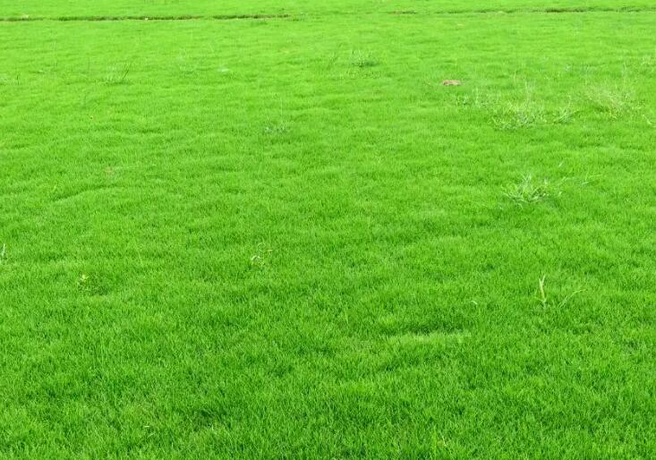 1660143551668519.jpg 2.jpg