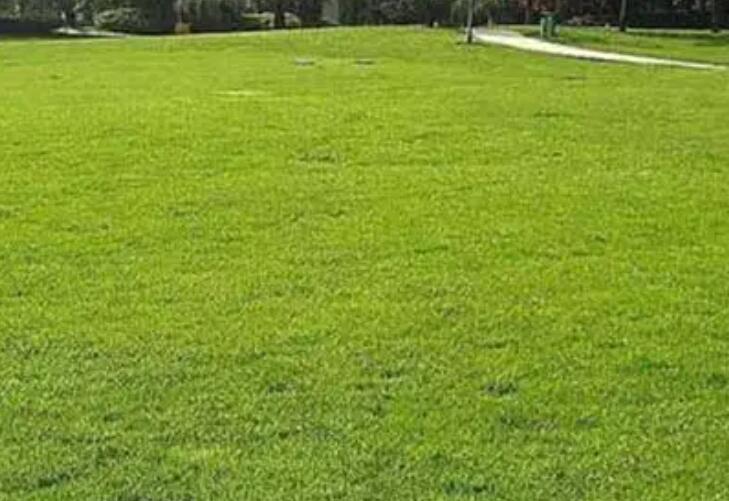 1660144097611712.jpg 2.jpg