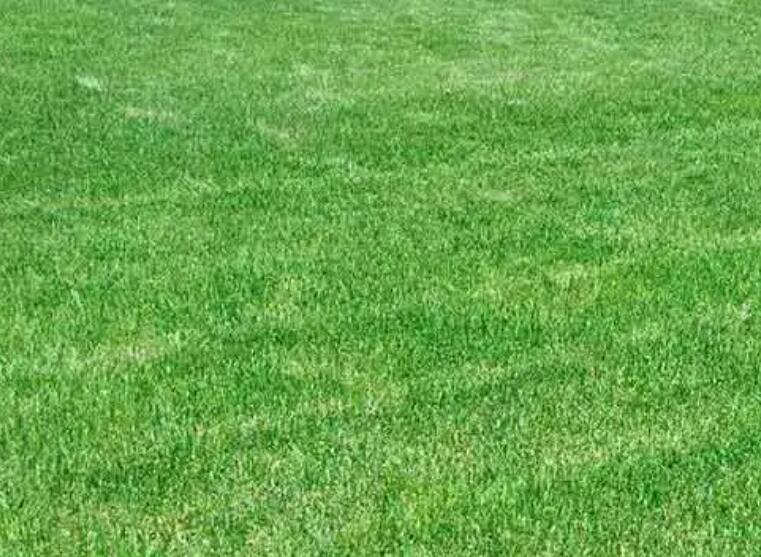 1660406456651995.jpg 1.jpg