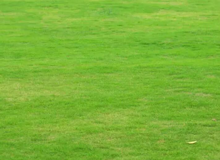 1660406465367382.jpg 2.jpg