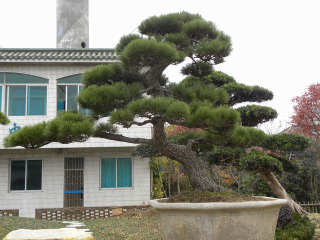 1660476788258712.jpeg 1660476788258712.jpeg