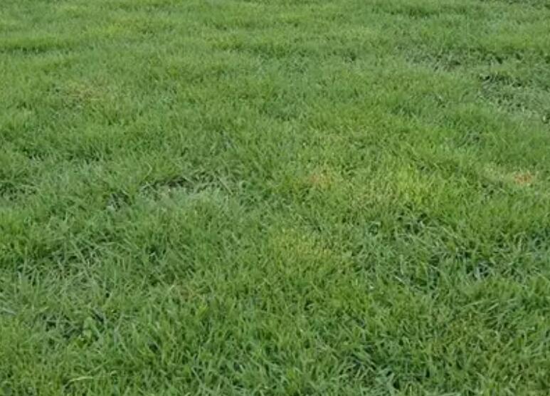 1660486069693021.jpg 1.jpg