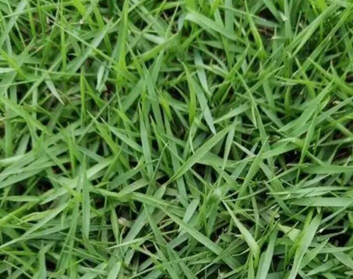 1660486077115583.jpg 2.jpg