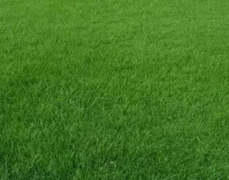 1660486085226849.jpg 3.jpg