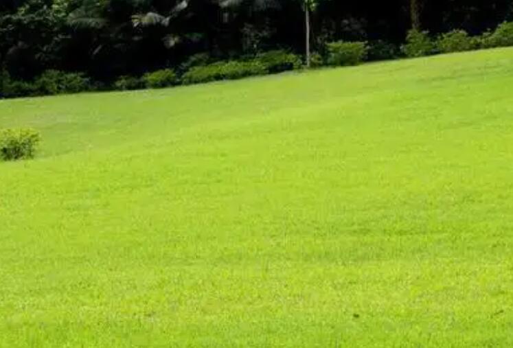 1660487497944650.jpg 1.jpg