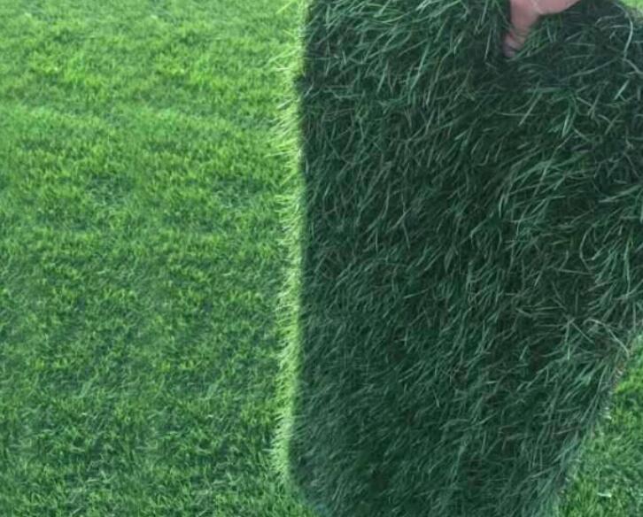 1660487505160477.jpg 2.jpg