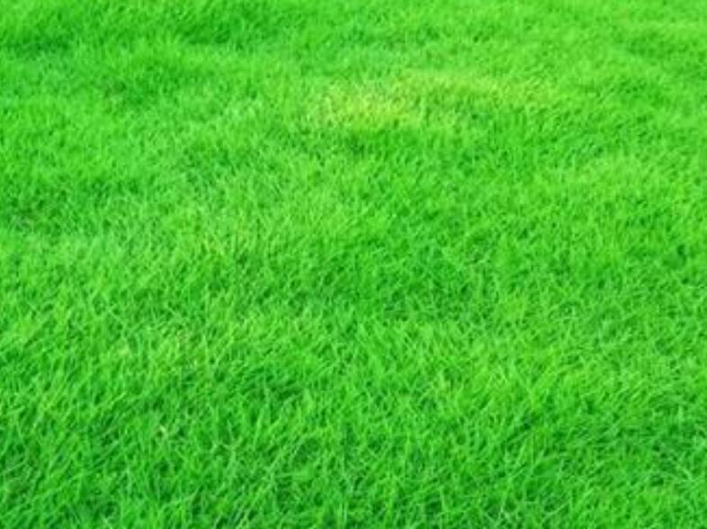 1660487513929923.jpg 3.jpg