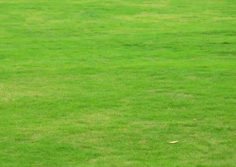 1660571358523128.jpg 1.jpg