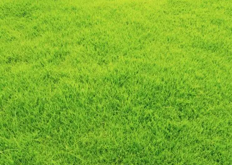 1660571369250925.jpg 2.jpg