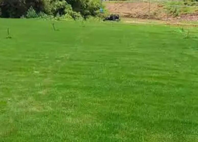 1660571376413211.jpg 3.jpg