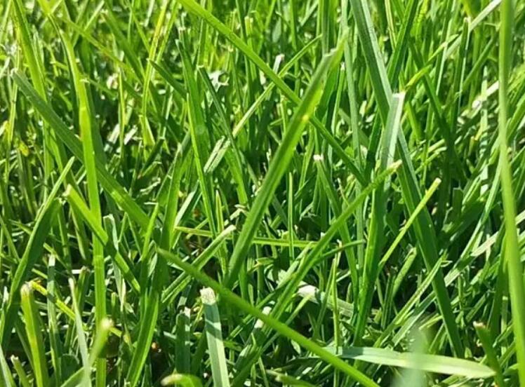 1660575568684596.jpg 2.jpg