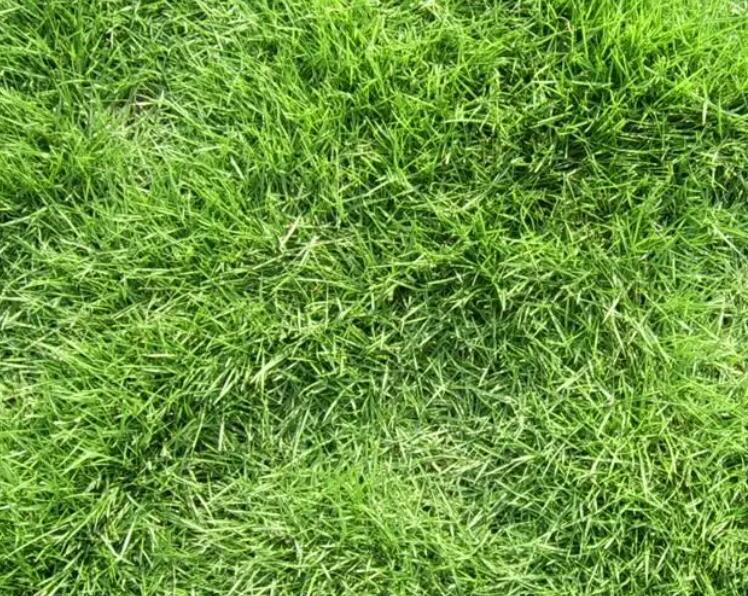 1660575575773296.jpg 3.jpg