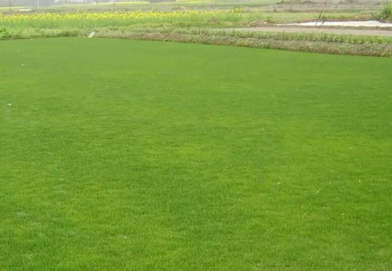 1660576289994381.jpg 1.jpg