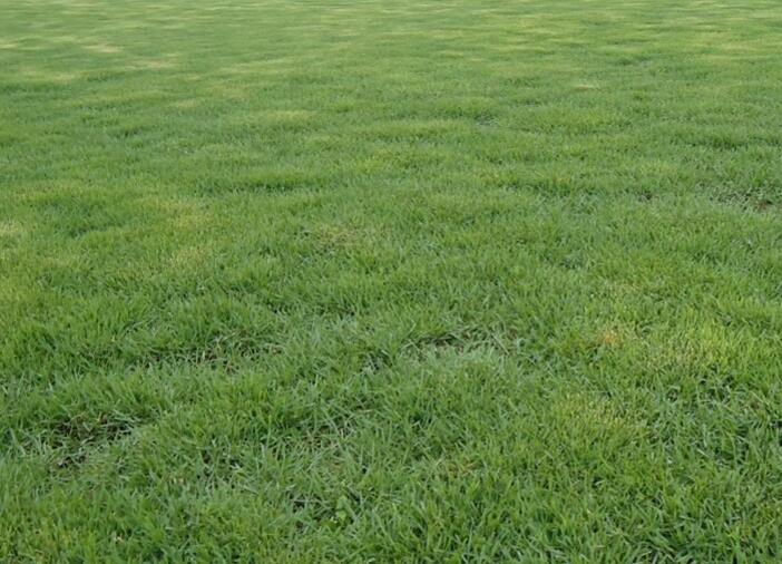 1660576296816524.jpg 2.jpg