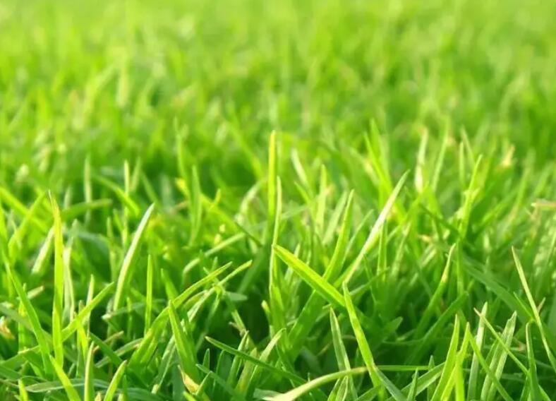 1660576305137572.jpg 3.jpg