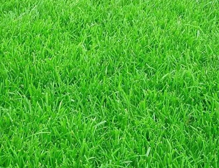 1660577121385591.jpg 1.jpg