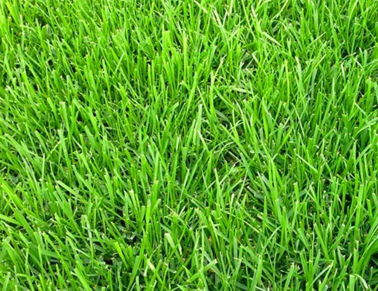 1660577128860253.jpg 2.jpg