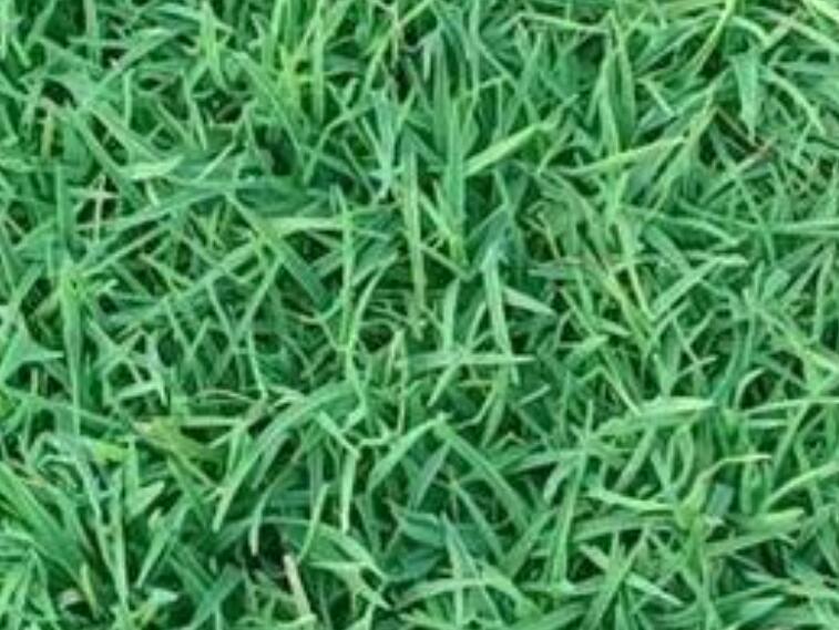 1660577137477770.jpg 3.jpg