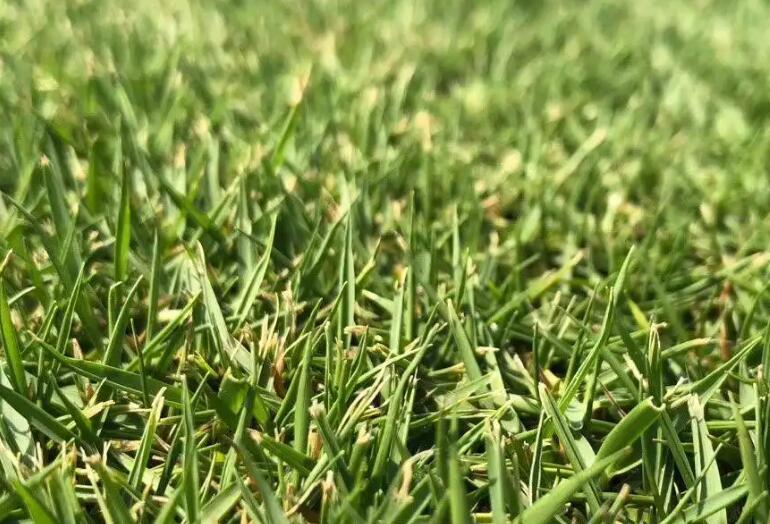 1660624812499273.jpg 1.jpg