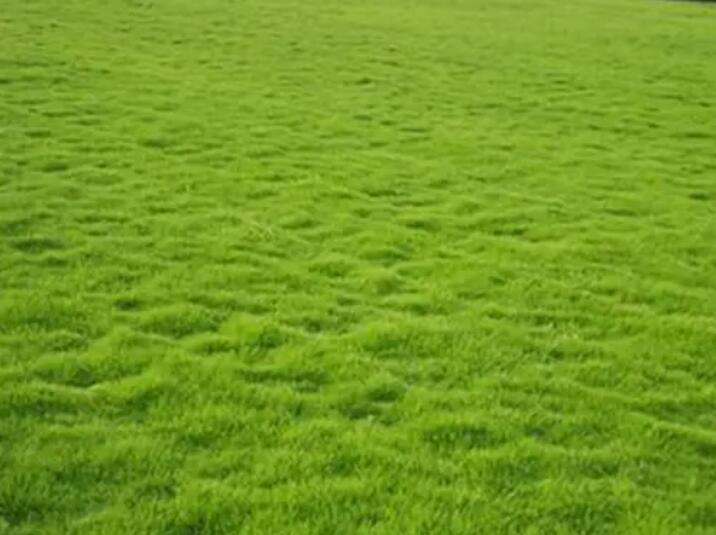 1660624821103919.jpg 2.jpg