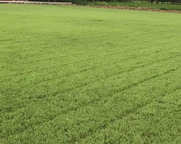 1660624828424608.jpg 3.jpg