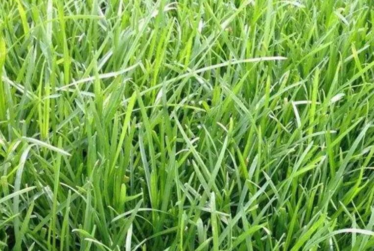 1660661898171043.jpg 1.jpg