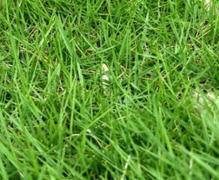 1660661907478751.jpg 2.jpg