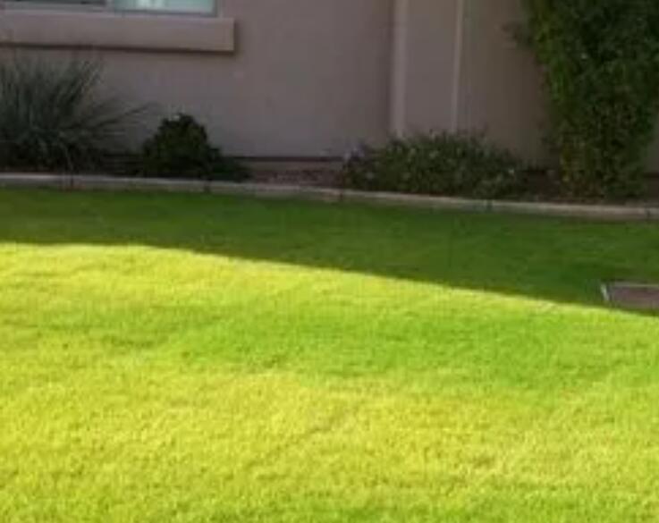 1660662674534750.jpg 1.jpg