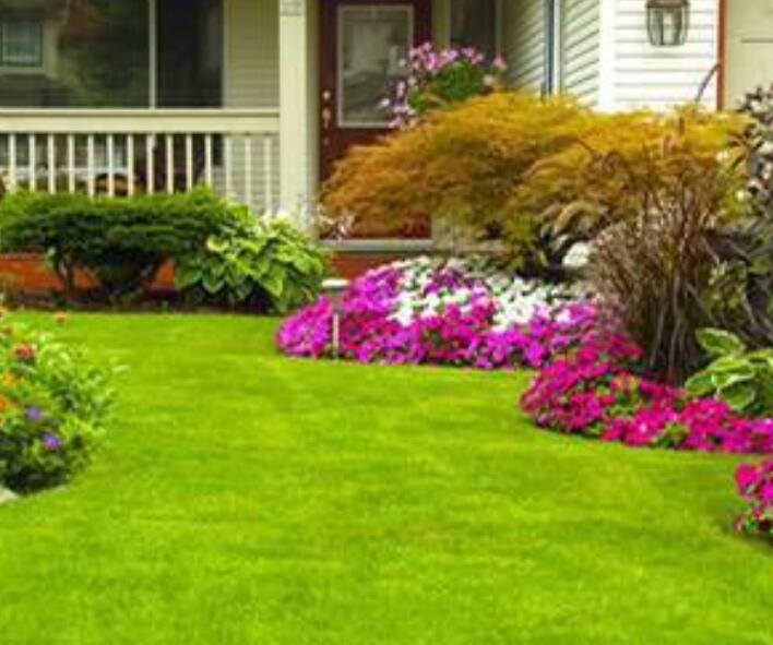 1660662682146746.jpg 2.jpg