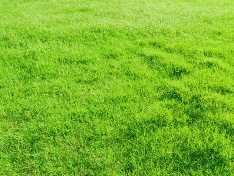 1660663411684549.jpg 1.jpg