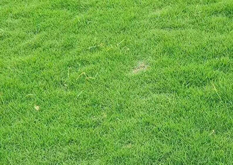 1660663422594066.jpg 2.jpg