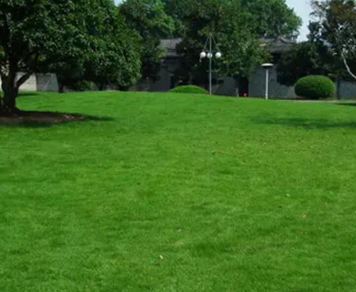 1660663429560357.jpg 3.jpg