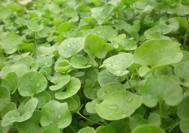 1660705357575126.jpg 1660705357575126.jpg