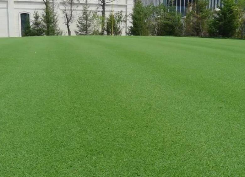 1660828372842845.jpg 1.jpg